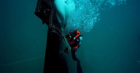 Extension en mer de Monaco : le génie écologique au cœur de la conception du projet Extension en mer de Monaco : le génie écologique au cœur de la conception du projet