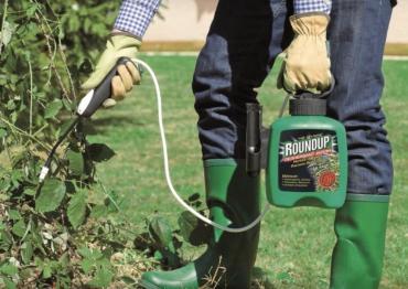 Roundup et cancer : un deuxième procès contre Monsanto aux États-Unis