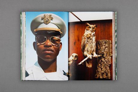 BOBBY DOHERTY – SEABIRD