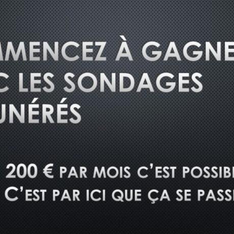 Comment Gagner de l’argent avec les sondages rémunérés ?