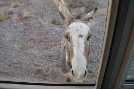 Pays Etranger - La Californie - 1