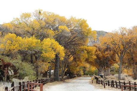 Pays Etranger - La Californie - 1