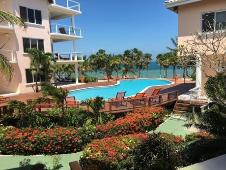 Booking.com- 6 destinations où s’engager pour la protection de la faune Booking.com- 6 destinations où s’engager pour la protection de la faune