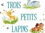Zemanel Am&amp;eacute;lie Dufour Trois petits lapins