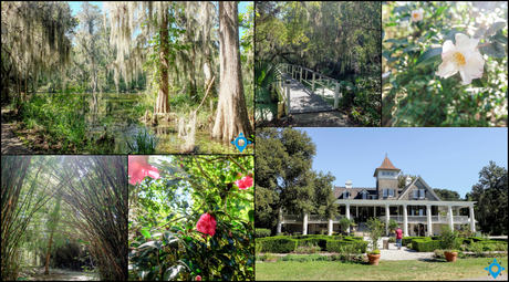 Magnolia Plantation Charleston