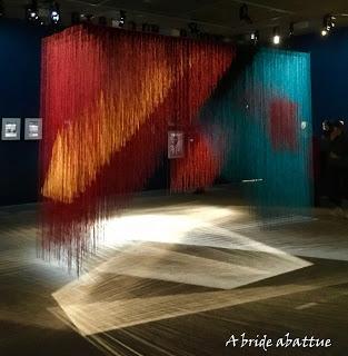 Géométries Sud du Mexique à la Terre de Feu à la Fondation Cartier