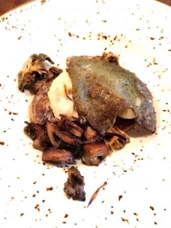 Turbot, champignons © Gourmets&co