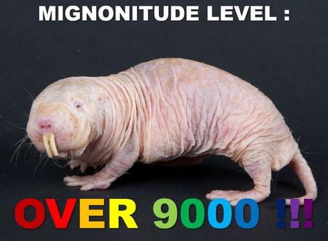 Vous allez l’avoir, votre gros concept d’écocide gluant !