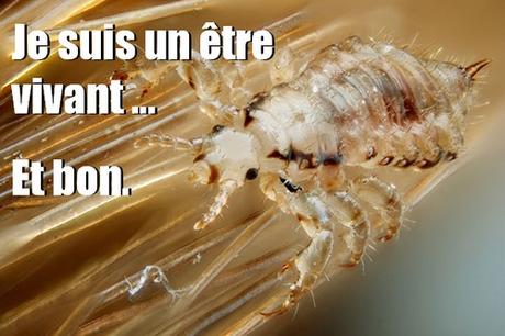 Vous allez l’avoir, votre gros concept d’écocide gluant !