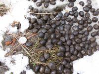 Tout peut-être « art » mais à différents niveaux ...