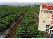 Pesticides nouvel accord pour réduire leur utilisation mais sans objectif chiffré
