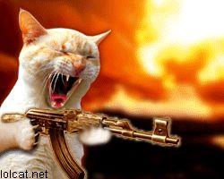 [Redite] Surtout ne rien changer