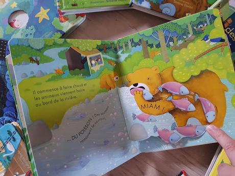 Coucou ! La forêt de Anna Milbourne et Simona Dimitri ♥ ♥ ♥