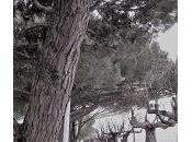 charme bord mer: arcachon.the charm seaside: arcachon