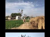 Safari équestre Rajasthan