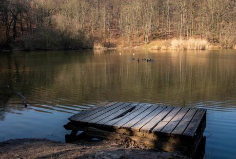 Les etangs de Meudon