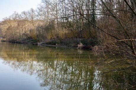 Les etangs de Meudon