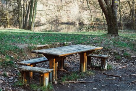 Les etangs de Meudon