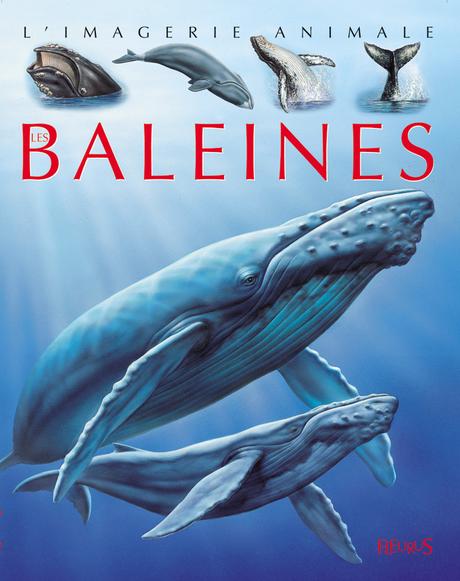 C'est lundi, que lisez-vous? #240