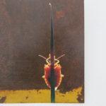 Luc Quinton, Galerie La Source