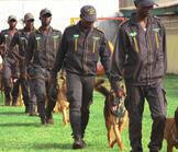 sécurité privée en afrique du sud