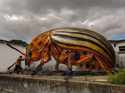 Monde d'insectes géants par Sergio Odeith