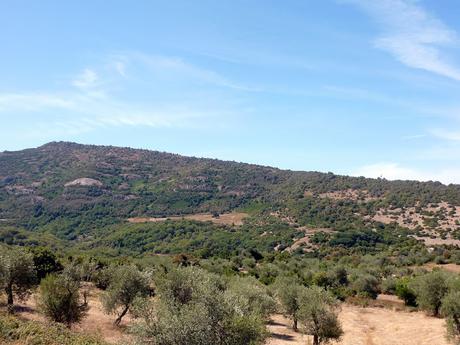 Un peu de tranquillité à Cuglieri