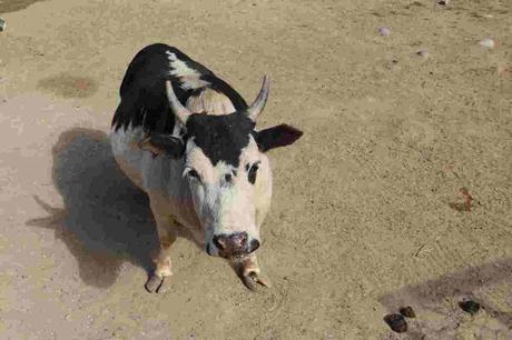 Pays Etranger - Etat de Washington - 1