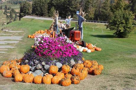 Pays Etranger - Etat de Washington - 1