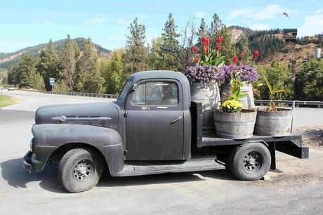 Pays Etranger - Etat de Washington - 1