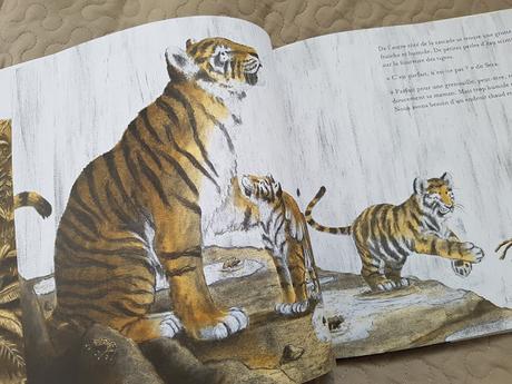 Petits Tigres de Jo Weaver Petits Tigres de Jo Weaver