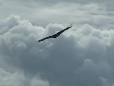 Quels sont les points importants de la pratique de la méditation ?
