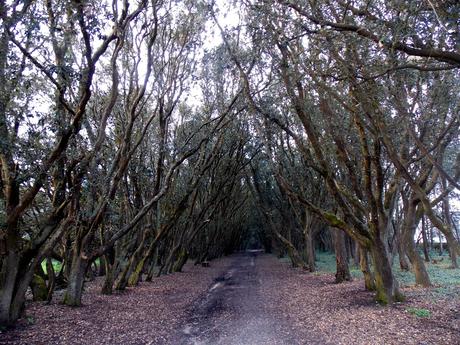 j'appartiens  à la route
