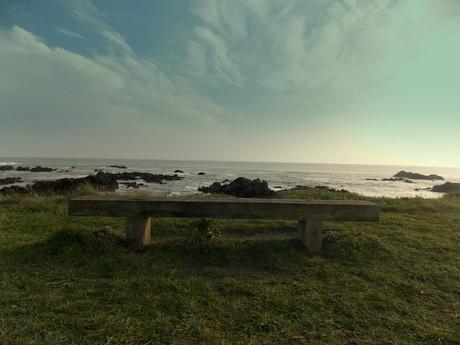 j'appartiens  à la route