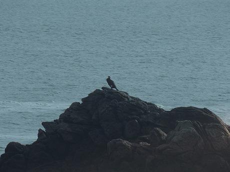 j'appartiens  à la route