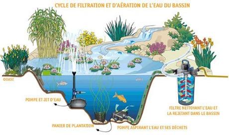 Le cycle de filtration et d'aération de l'eau