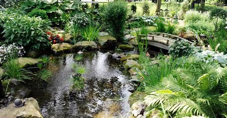 https://i2.wp.com/paysagesrodier.com/wp-content/uploads/2017/07/Bassin-naturel-parois-souple-rodier-paysagement-amenagement-jardin.jpg?resize=800%2C414&ssl=1