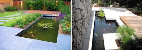 Fleurs et plantes du lac animalerie https://i2.wp.com/paysagesrodier.com/wp-content/uploads/2017/07/jardin-deau-eau-rodier-paysagiste-koi-poissons-amenagement.jpg?resize=800%2C282&ssl=1