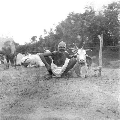 La fascination de l'Être