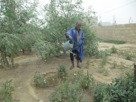 Mauritanie : l’eau coule à nouveau à Fassalé