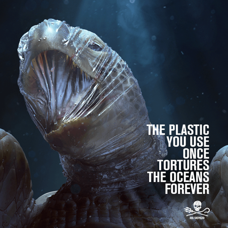 Pollution plastique en mer : nouvelle campagne choc de Sea Shepherd