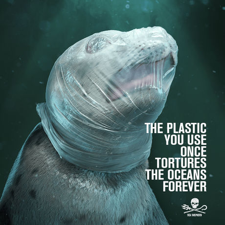 Pollution plastique en mer : nouvelle campagne choc de Sea Shepherd