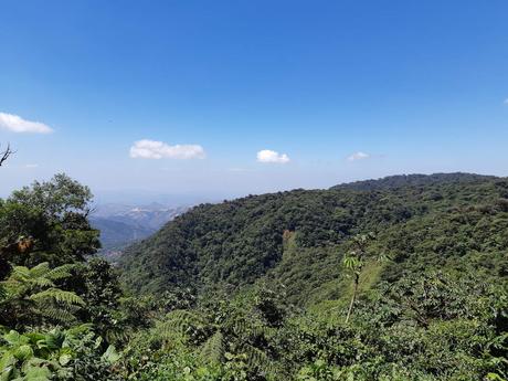 Costa Rica 3 (Montverde)
