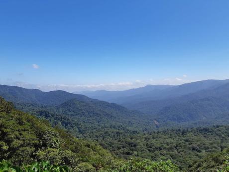 Costa Rica 3 (Montverde)