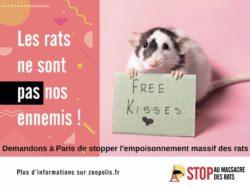 Youpi, Paris s’enlaidit !