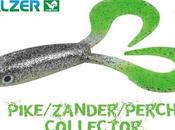 Pike, Zander &amp; Perch Collector (Balzer)
