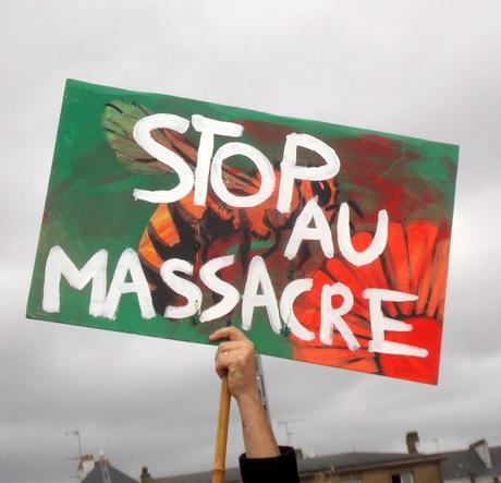 marche du siècle saint-nazaire