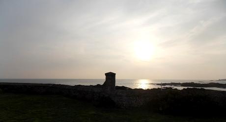 rose le manteau de la mer