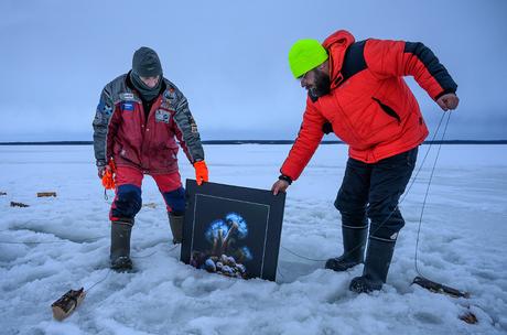 Arctique : la première exposition de photos sous la glace