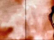 Susan, d’après Susan Sontag, conception Alix Riemer